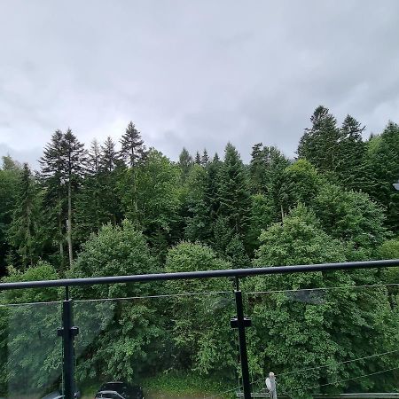 Apartament Dwupoziomowy Z Klimatyzacja Apartman Krynica-Zdrój Kültér fotó