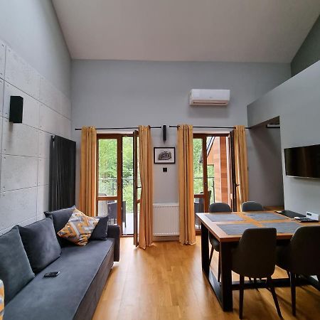 Apartament Dwupoziomowy Z Klimatyzacja Apartman Krynica-Zdrój Kültér fotó