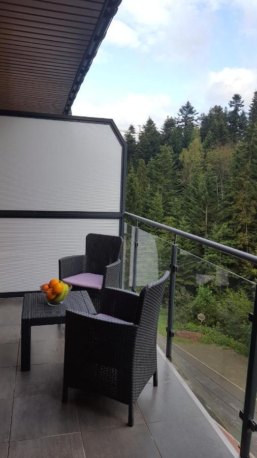 Apartament Dwupoziomowy Z Klimatyzacja Apartman Krynica-Zdrój Kültér fotó